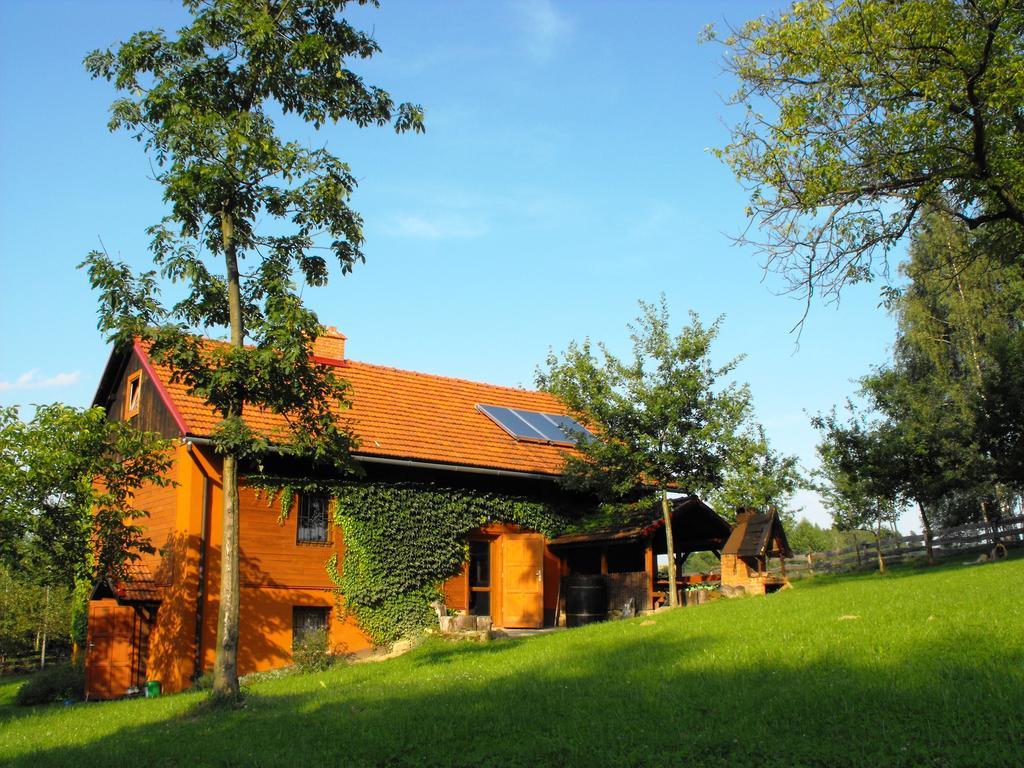 Agroturystyka Zacisze Czarna Owca Brzezanka 外观 照片