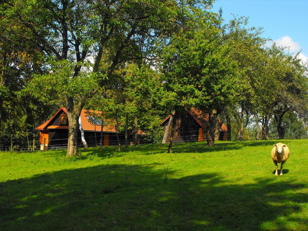 Agroturystyka Zacisze Czarna Owca Brzezanka 外观 照片