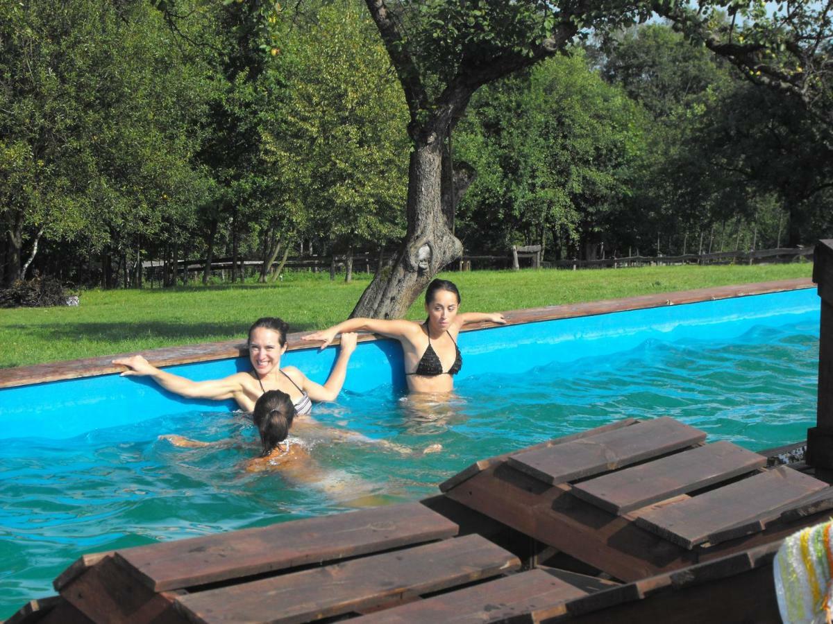 Agroturystyka Zacisze Czarna Owca Brzezanka 外观 照片
