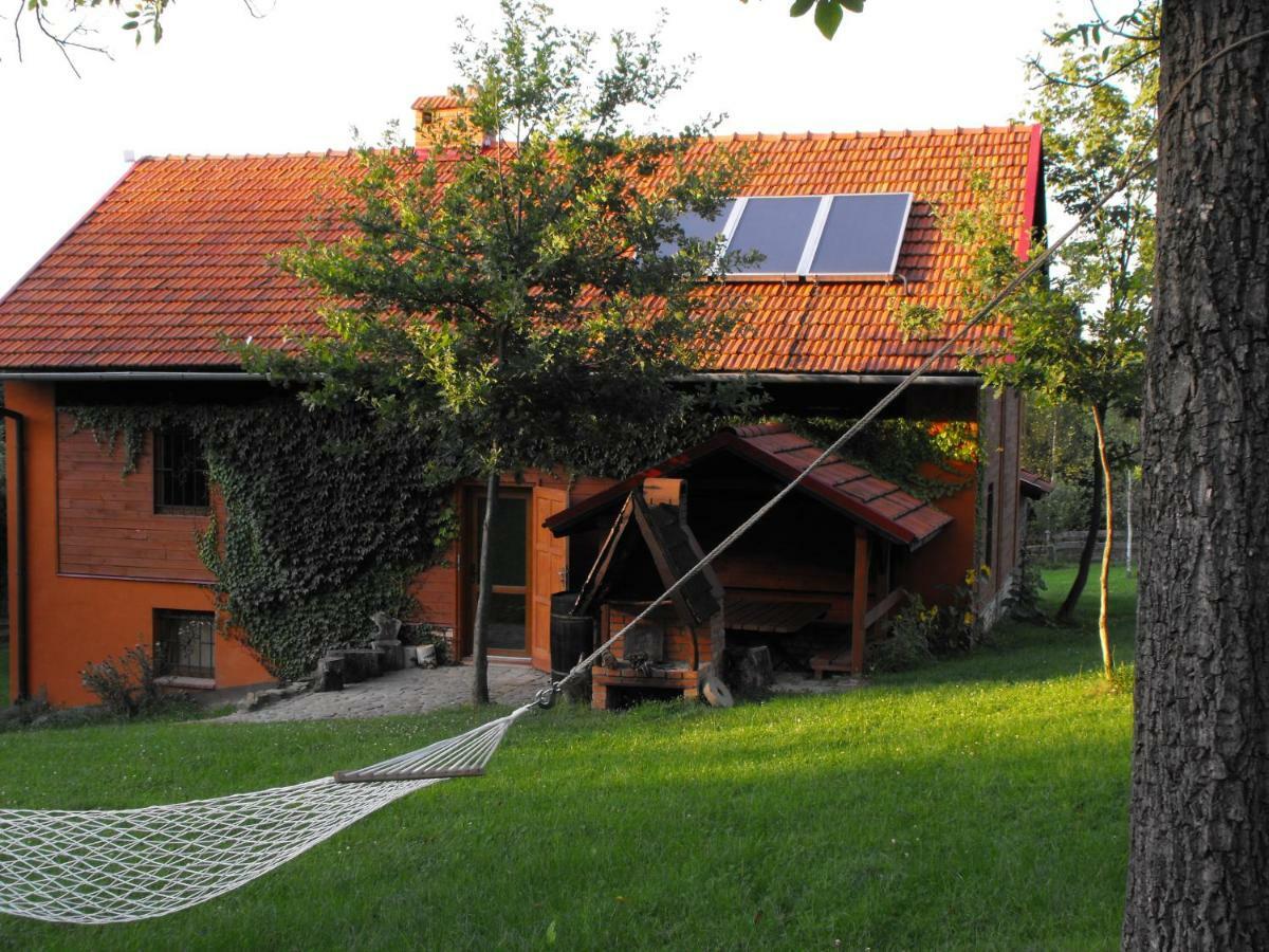 Agroturystyka Zacisze Czarna Owca Brzezanka 外观 照片