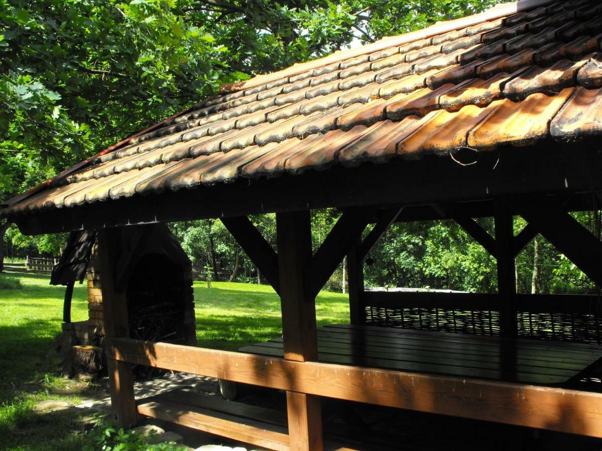Agroturystyka Zacisze Czarna Owca Brzezanka 外观 照片